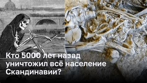 Необычное исчезновение: начало коронного дела