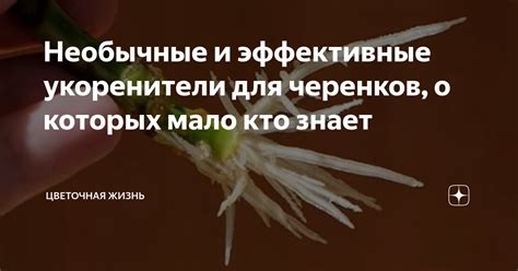 Необычные и эффективные подходы, о которых мало кто знает