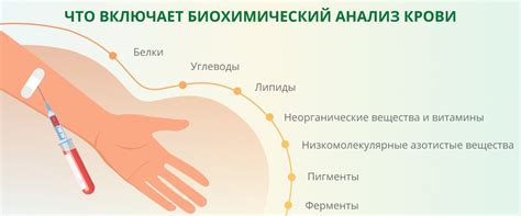 Неотъемлемость анализа крови с целью исключения инфекции