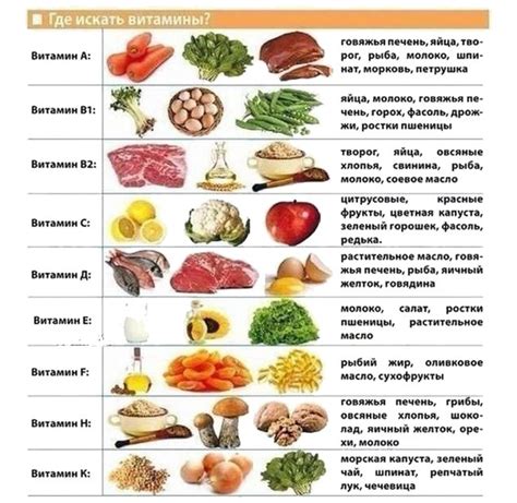 Неотъемлемые компоненты здорового питания кота: важность витаминов и минералов