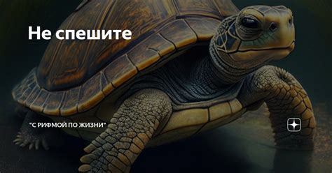 Не спешите с открытой конфессией