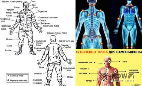 Нижняя часть тела: болевые точки в области таза и ног