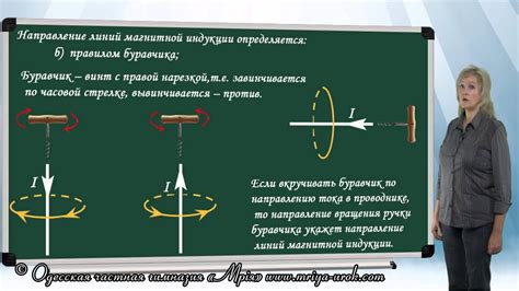 Новое направление в изучении свойств магнитной косметики