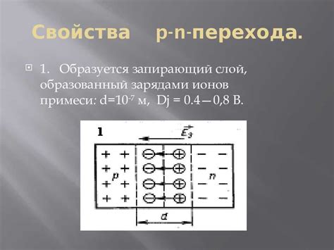 Номинальное давление и расход: что стоит узнать перед приобретением