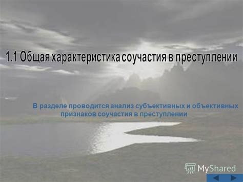 Нюансы в внимании: углубленный анализ субъективных признаков