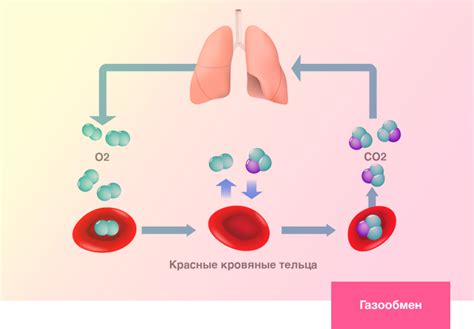 Обеспечьте нормальное дыхание