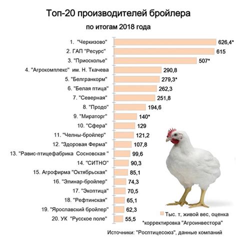 Обзор основных продавцов и производителей на рынке птицеводства в столице Ставропольского края