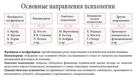 Обзор психологии и ее основных направлений