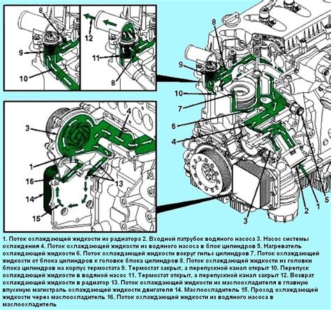 Обзор расположения контроллера охлаждения в автомобиле Газель Некст