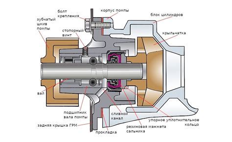 Обзор салона и его компонентов