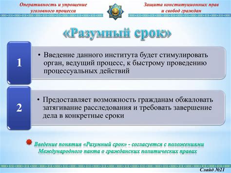 Обзор территории судебного заседания в уголовном процессе: вводная информация