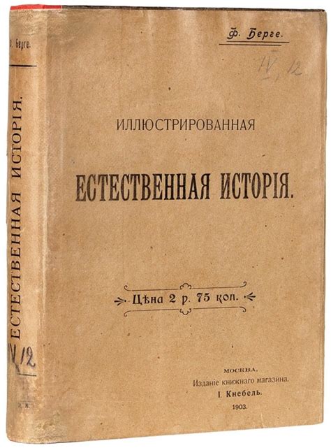 Обнаружение и изучение: история открытия первоначального расположения загадочных эскизов