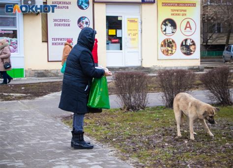 Обновление ПО – важный шаг к решению проблемы с отсутствием программ на телевизоре