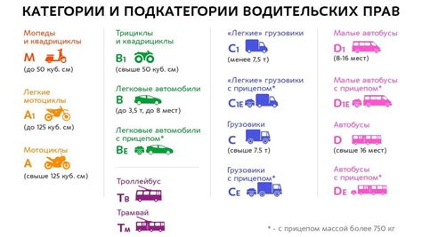 Образование и квалификация водителя в категории С