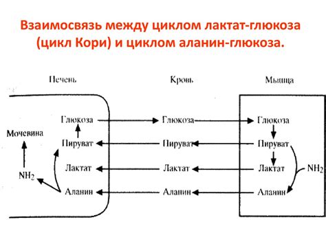 Обратная взаимосвязь между циклом водного обмена и содержанием минералов в морской воде