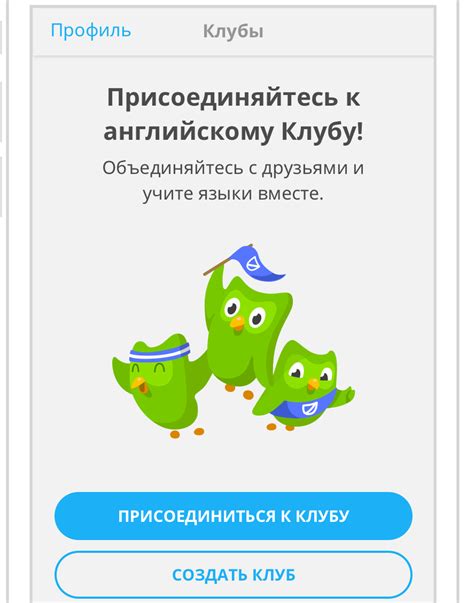 Обучение и тренировки на платформе Duolingo