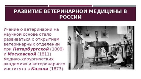 Обширное поле знаний о ветеринарии в Университете ветеринарной медицины