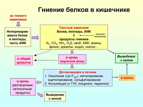 Общая роль РНК и белков в живых организмах