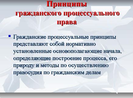 Общий обзор основных принципов гражданского процессуального правоприменения