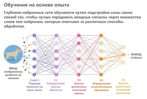 Общий обзор функционирования нейронной сети