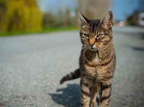 Обычные предметы, которые могут стать скрытыми хранилищами