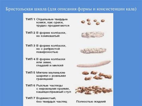 Овощи, способствующие нормализации консистенции кала при жидком стуле