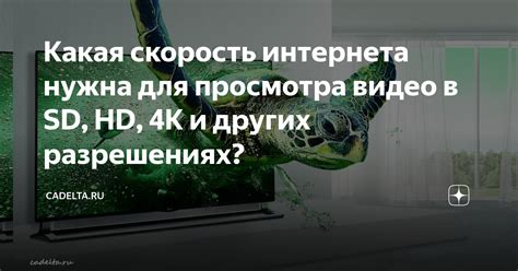 Ограничения и требования к соединению интернета для просмотра 4K качества