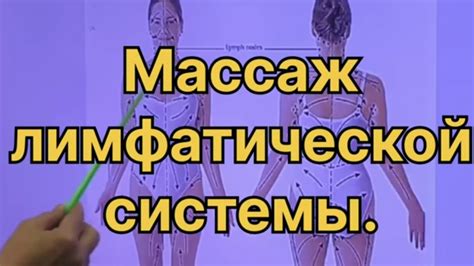 Оздоравливающий массаж лимфатической системы: принципы и результаты