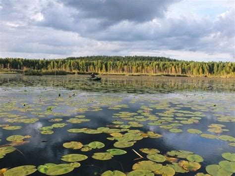 Озеро Становое – прекрасный выбор для семейного отдыха