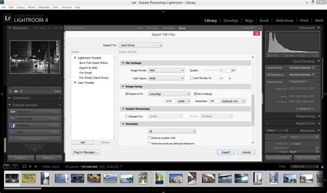 Ознакомление с коллекциями и категориями стилей обработки изображений в Adobe Lightroom