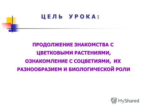 Ознакомление с разнообразием модификаций и их воздействие на игровой процесс