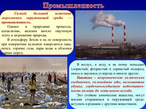 Окисление оливок: природные процессы вплоть до самых глубин холодильника