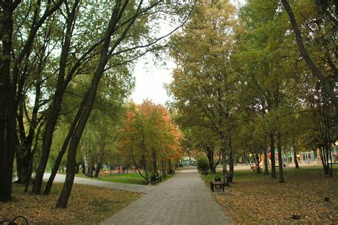 Окрестности исторического символа: парковые аллеи, культурные достопримечательности и развлечения