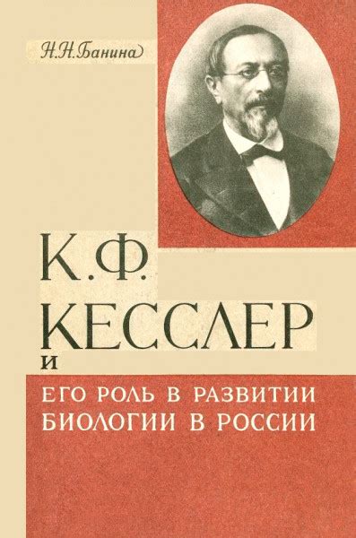 Окружение и его роль в развитии Одессы