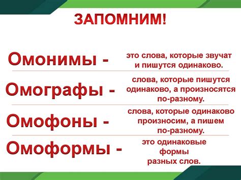 Омофоны и омографы: сходства и отличия