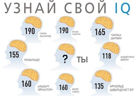 Онлайн тесты на уровень интеллекта: удобный способ оценить ваше интеллектуальное потенциал