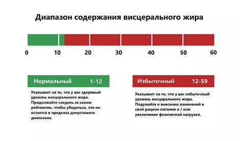 Опасность висцерального жира 6 уровня для здоровья