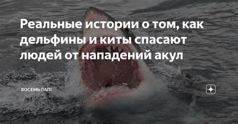 Опасность для людей: истории нападений и атак преступного морского обитателя