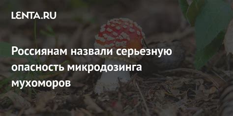 Опасность и необходимость распознавания мухоморов