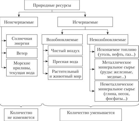 Описание атмосферы и особенностей инфраструктуры уникального хранилища природных ресурсов