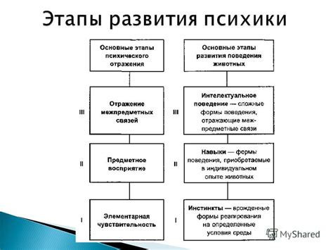 Описание основных функций Donationalerts