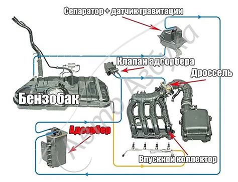 Описание работы и назначение компонента автомобиля «адсорбер» на модели Ford Fusion