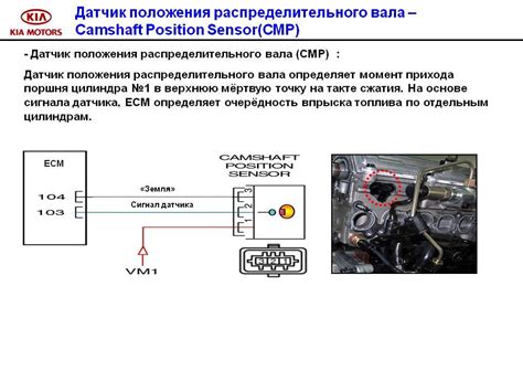 Описание работы и функции датчика распредвала