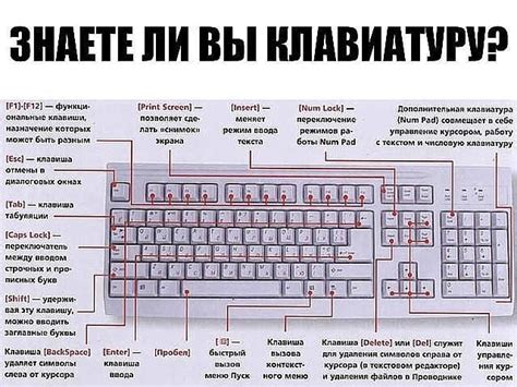 Описание расположения физической кнопки для вставки текста