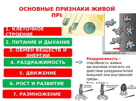 Опознание аномальной природы внутренней среды