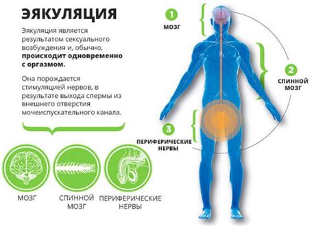 Определение болезни и ее причины