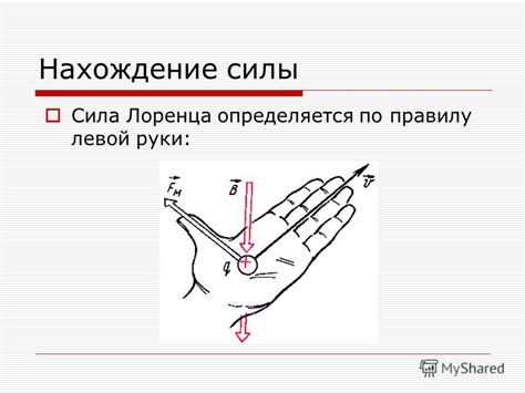 Определение доминантной руки: нахождение баланса силы