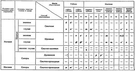 Определение и классификация звука