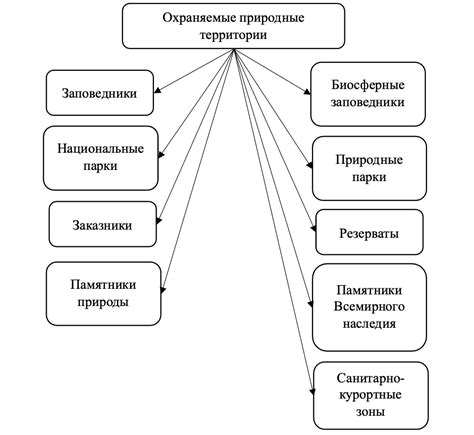 Определение и принципы выполнения: фундаментальные аспекты