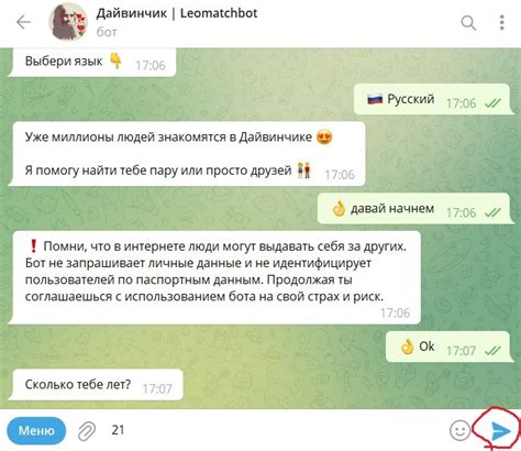 Определение и функционирование Да-Винчика в мессенджере